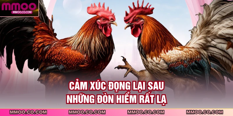 Cảm xúc đọng lại sau những đòn hiểm rất lạ
